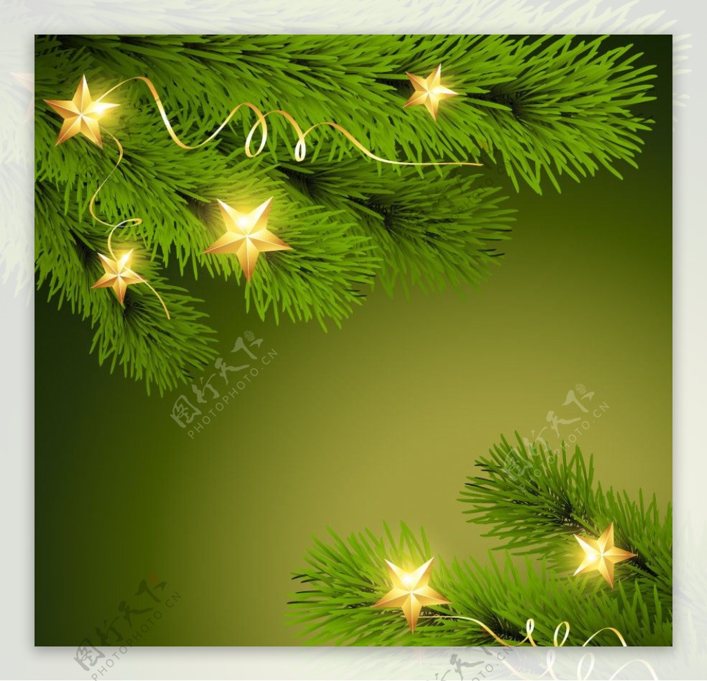 松树枝星星圣诞背景图片