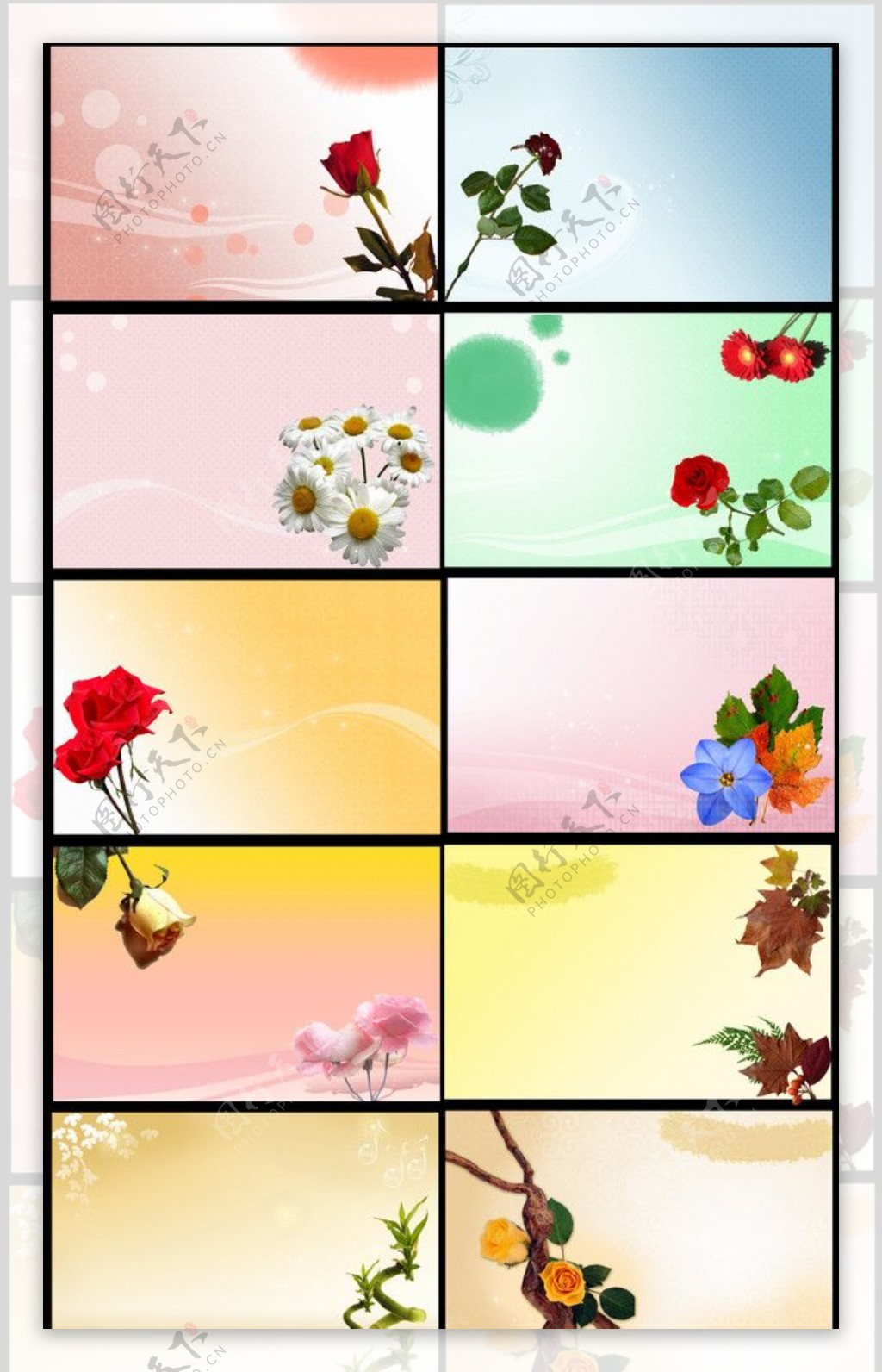 花朵模板图片
