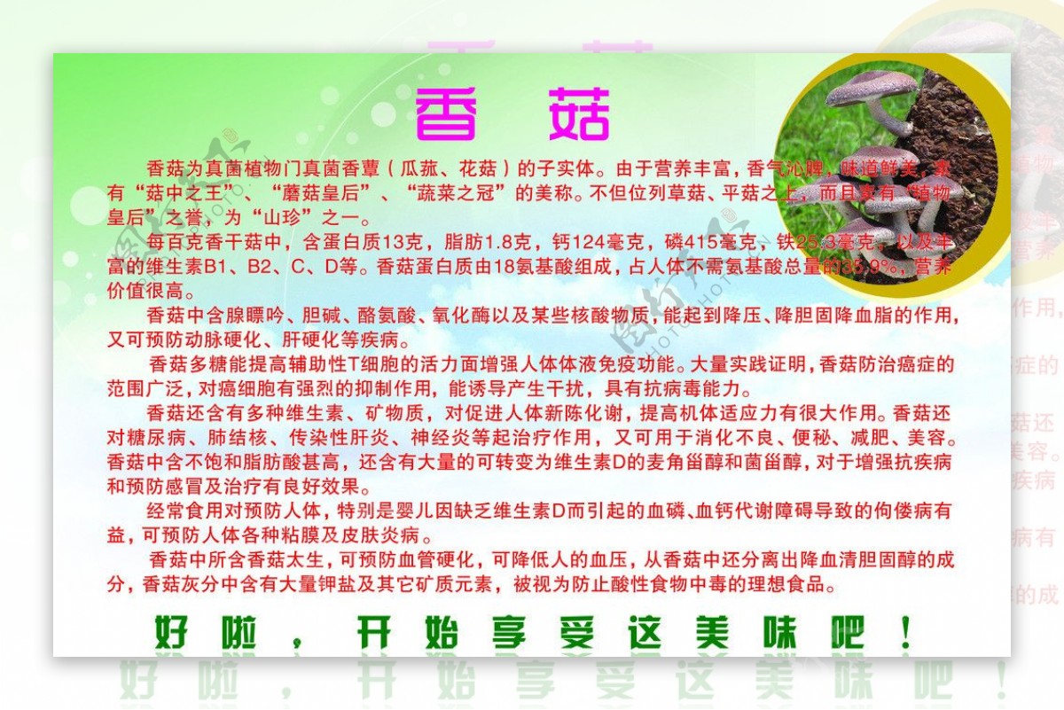 香菇图片