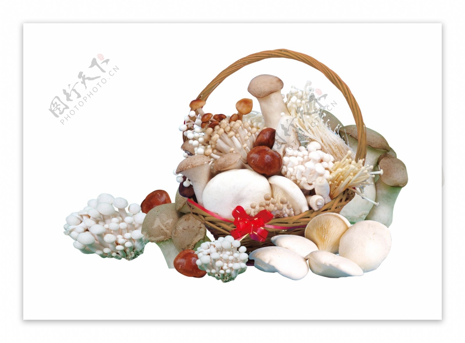 蘑菇篮子图片