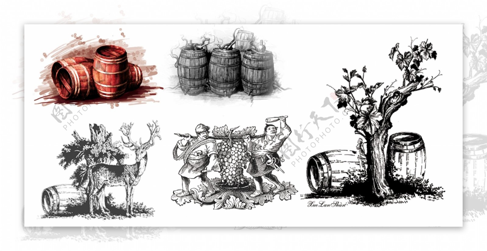 葡萄酒橡木桶红酒树图片