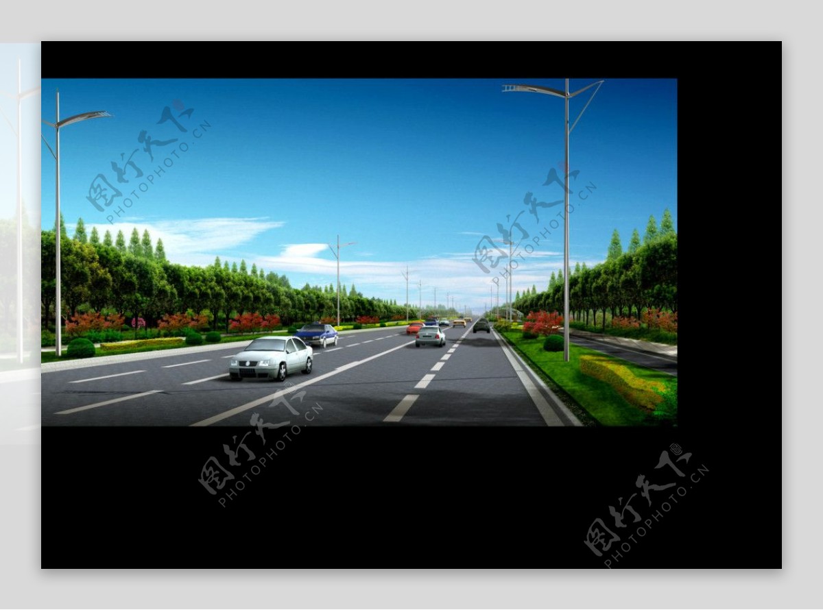 道路绿化设计图片