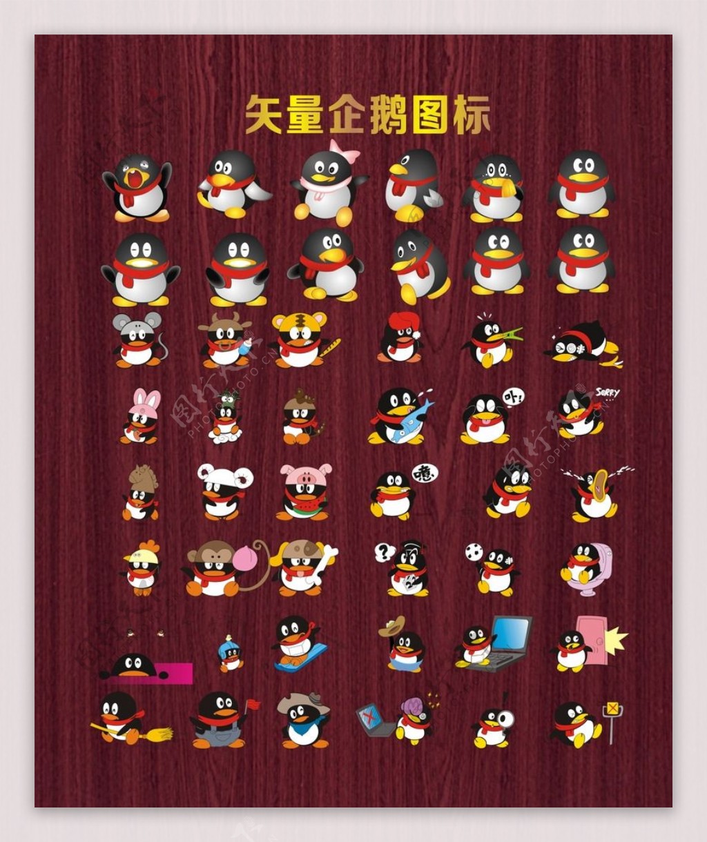 QQ标志腾迅企鹅图片