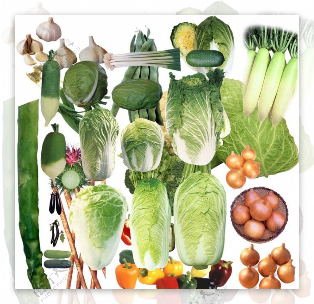 蔬菜图图片