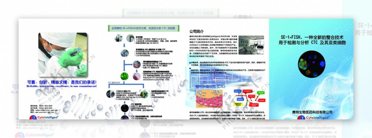 医药公司四折页图片