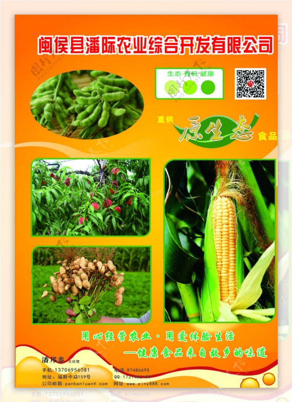 生态农业宣传页图片