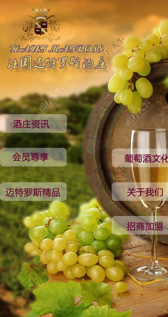 微信葡萄酒网站图片