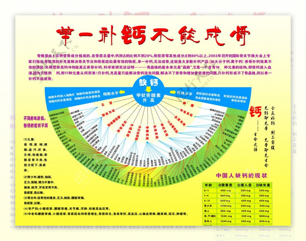 单一补钙不能成骨图片