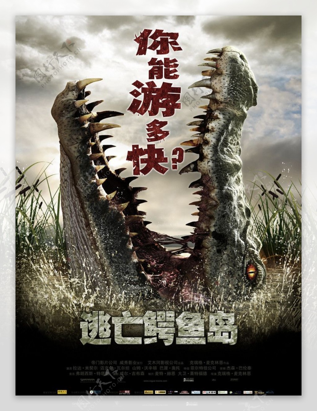 逃亡鳄鱼岛中文海报图片