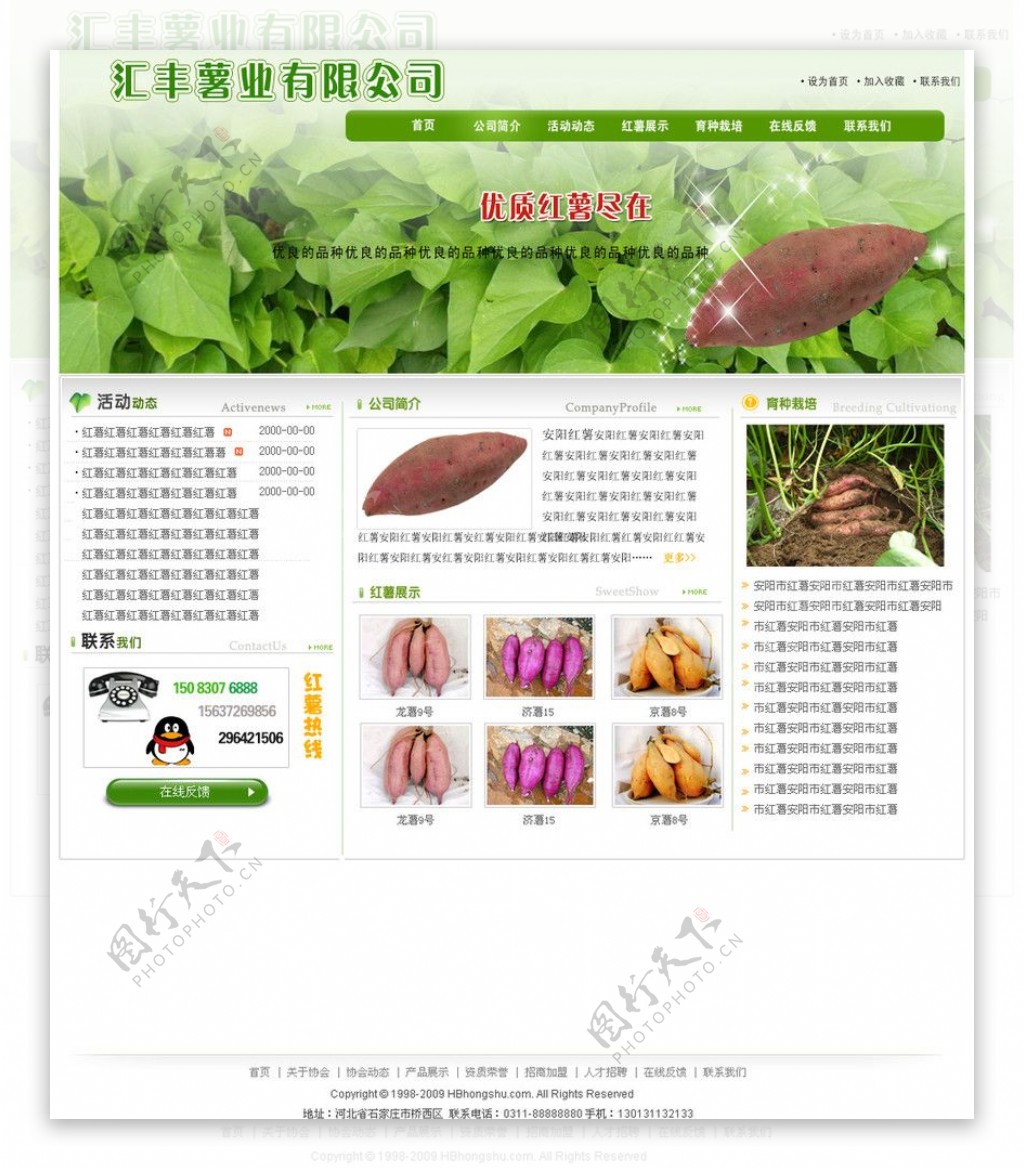 红薯网站模板图片