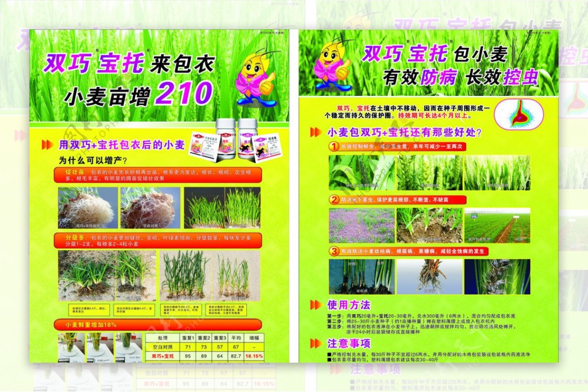 小麦拌种剂防治单页图片