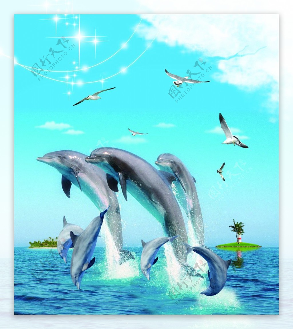 雀跃的海豚图片