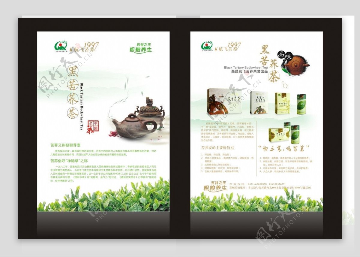 清新茶单页设计图片