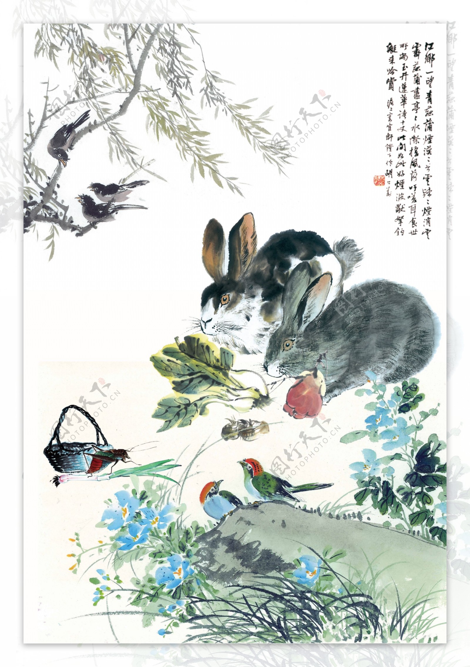国画花鸟兔子图片
