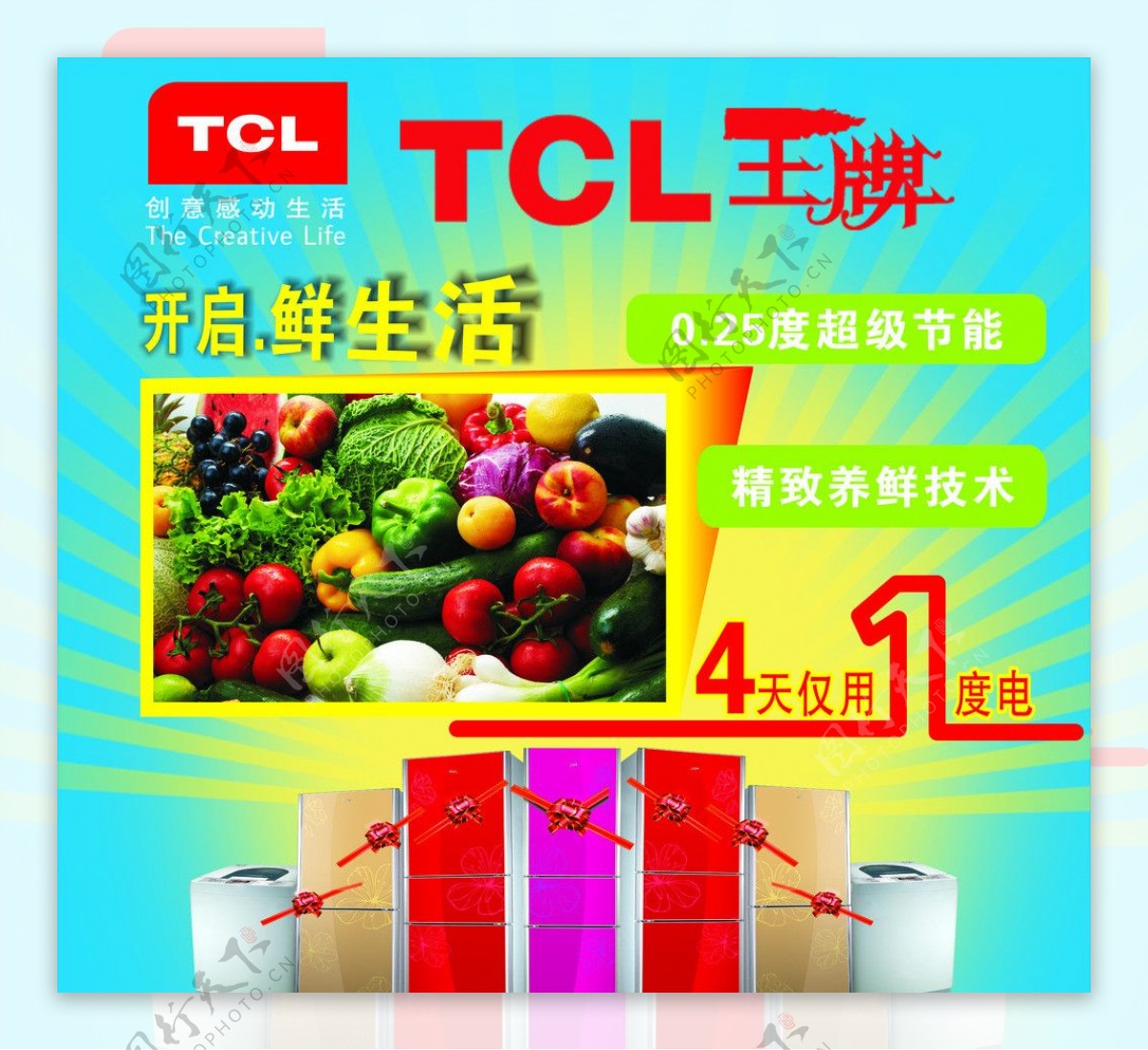 TCL王牌冰箱图片