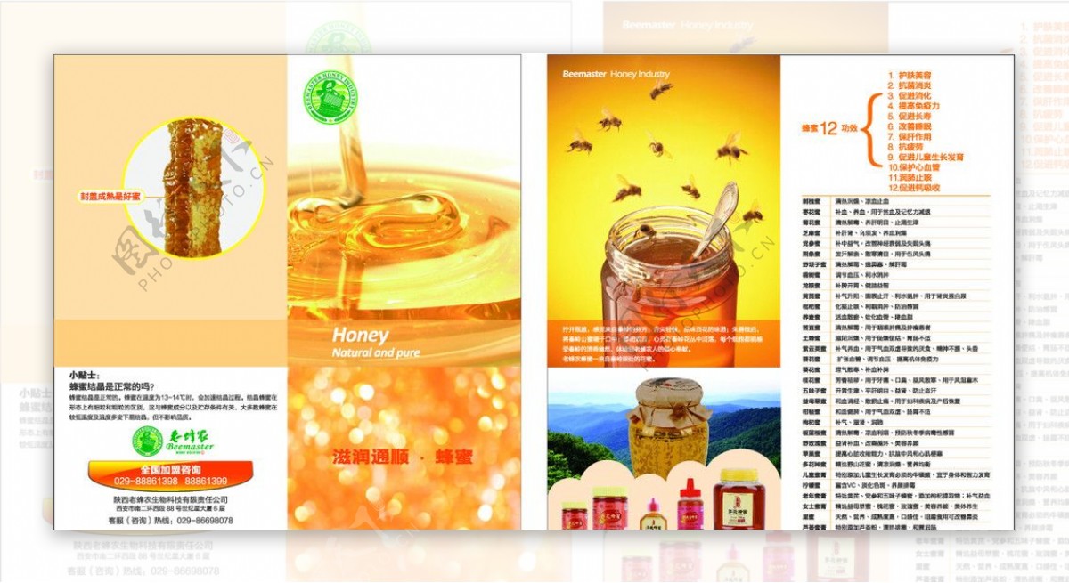老蜂农蜂蜜产品单页图片