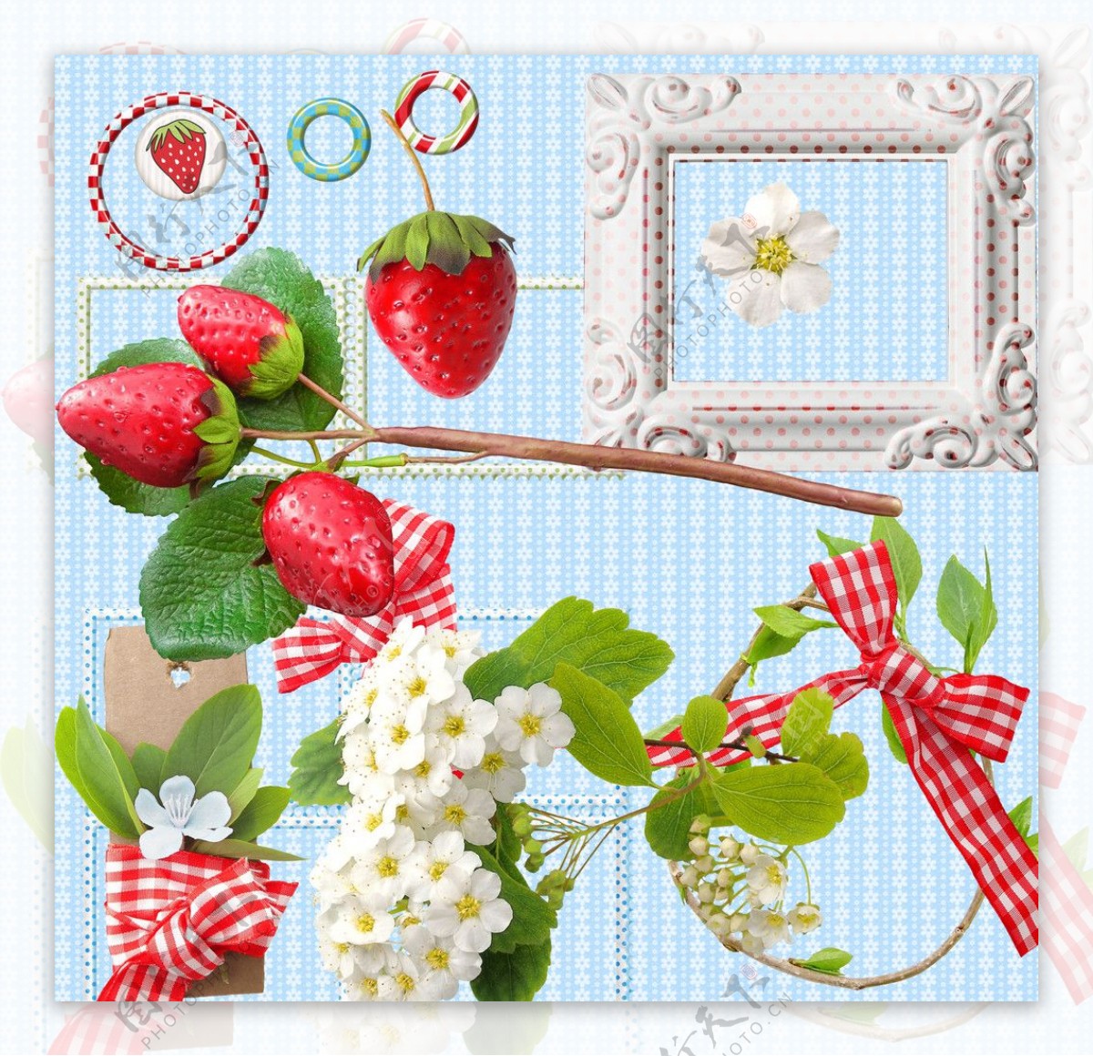 可爱草莓与边框图片