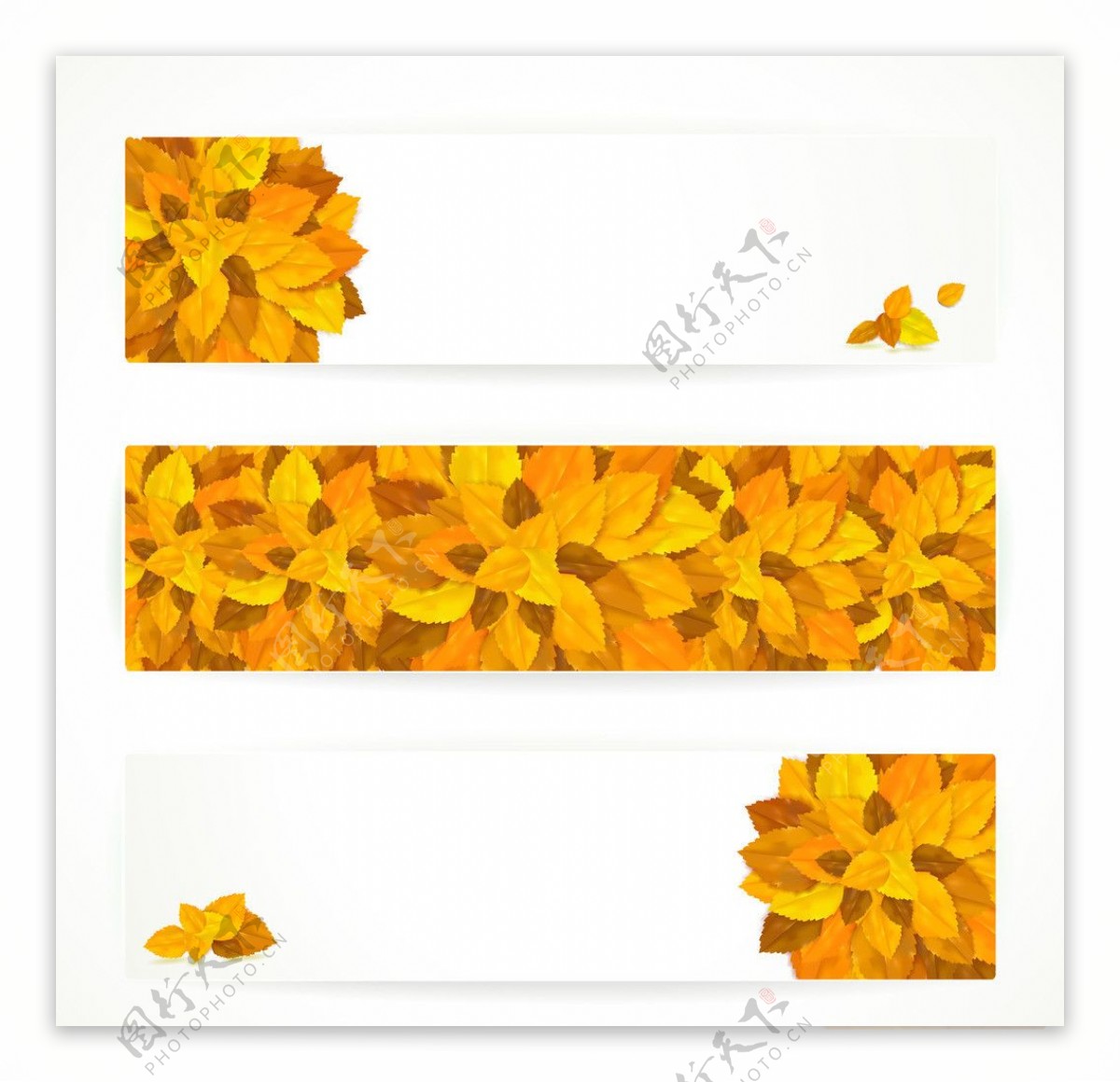 金色树叶图片