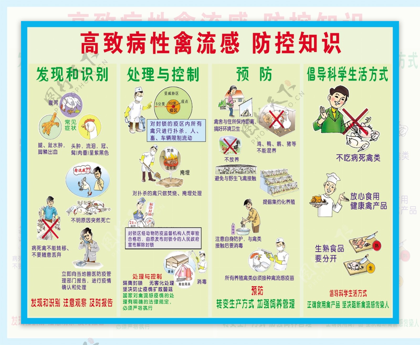高致病性禽流感防控知识图片