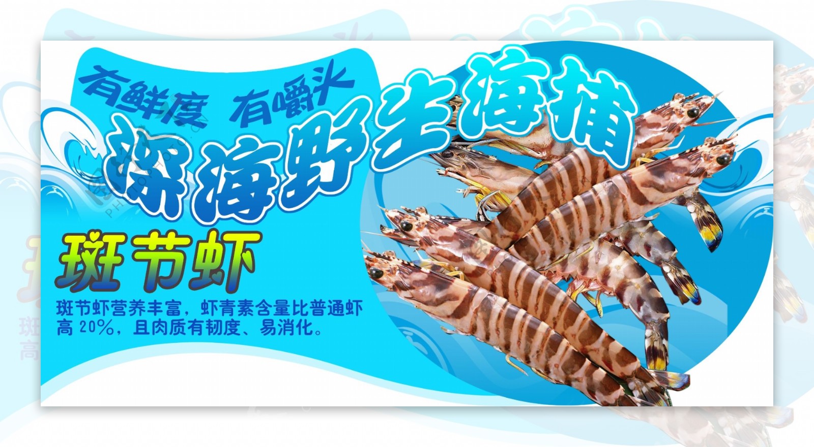 斑节虾图片