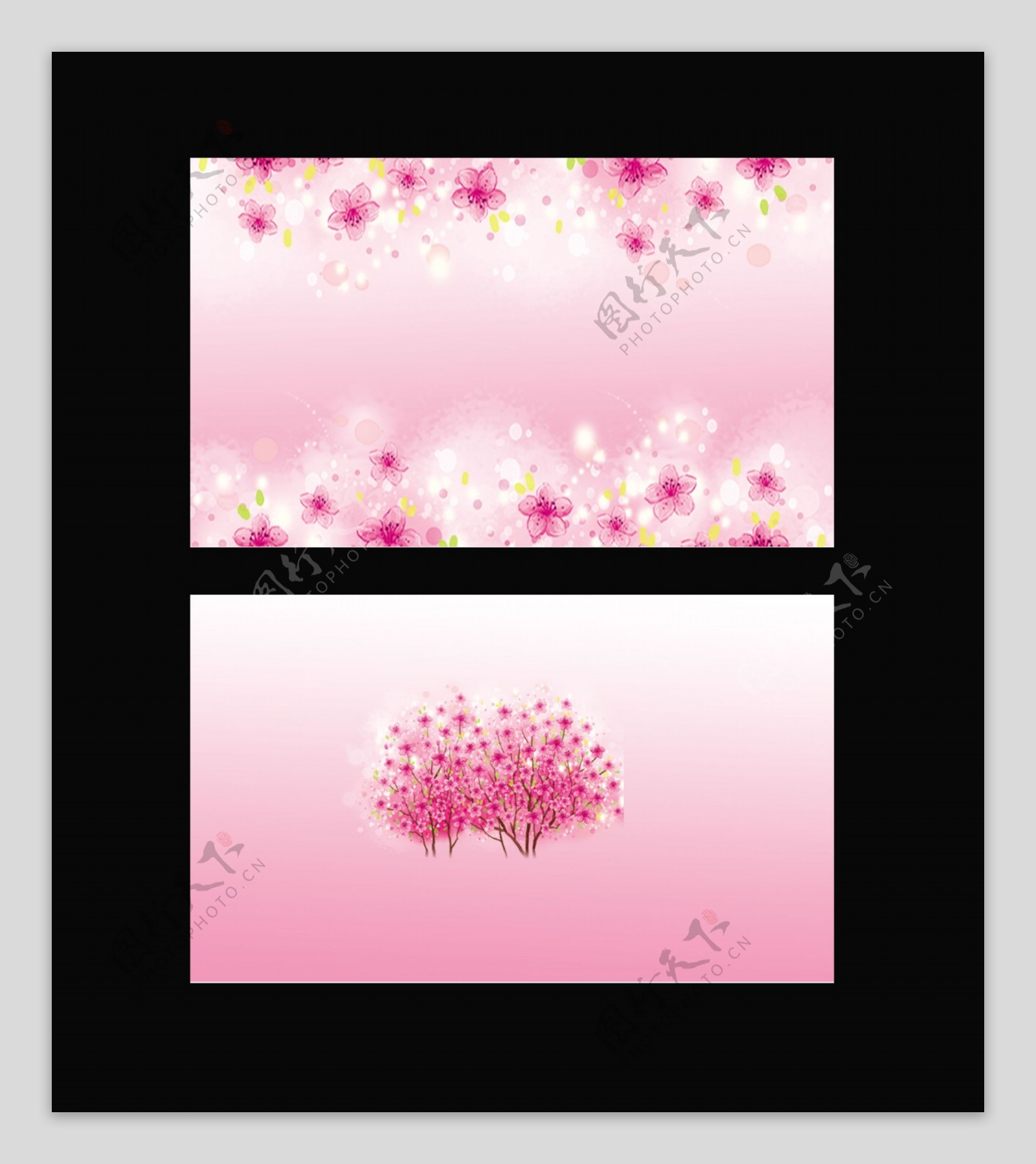 粉红花朵名片图片