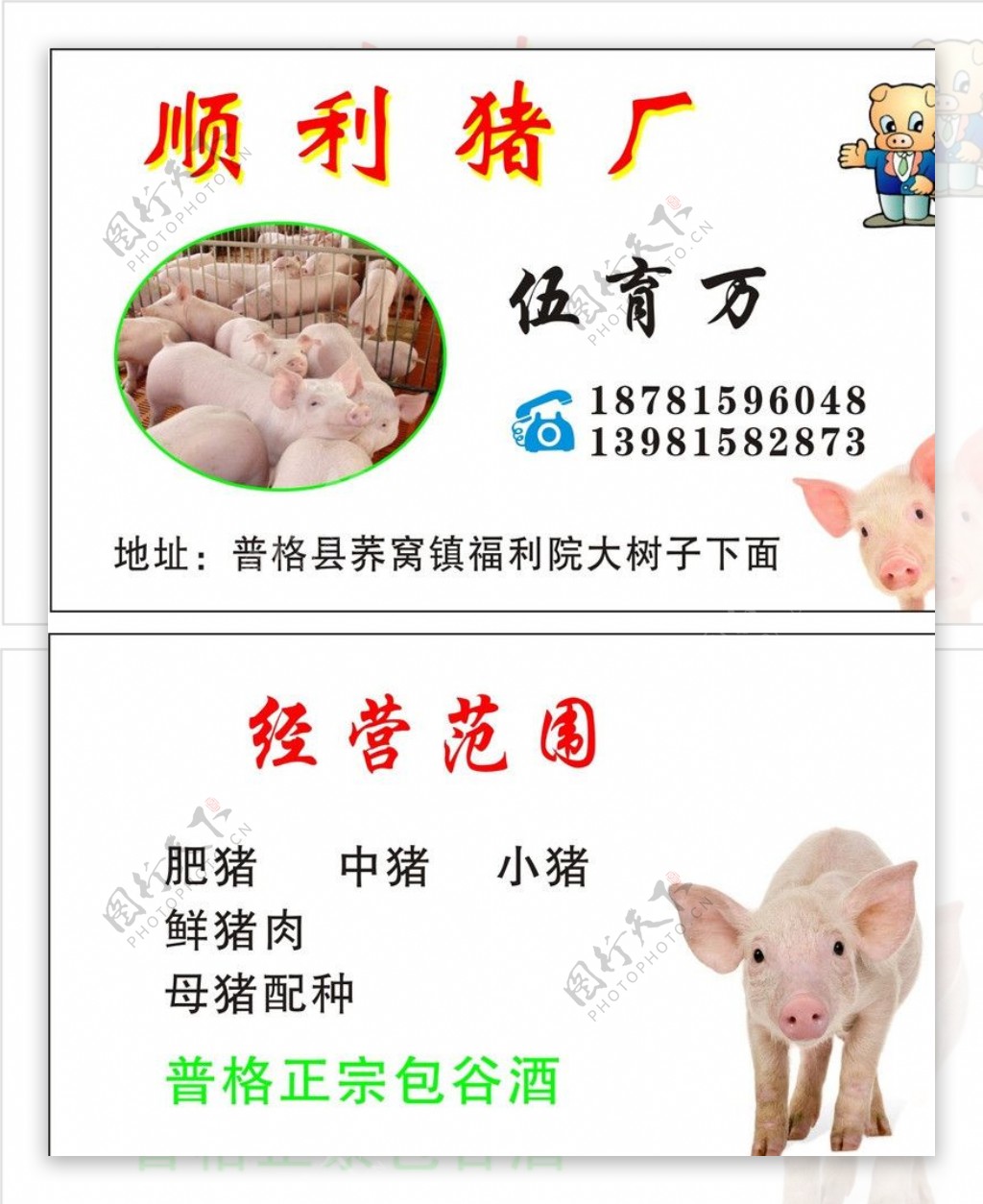 养猪厂名片图片