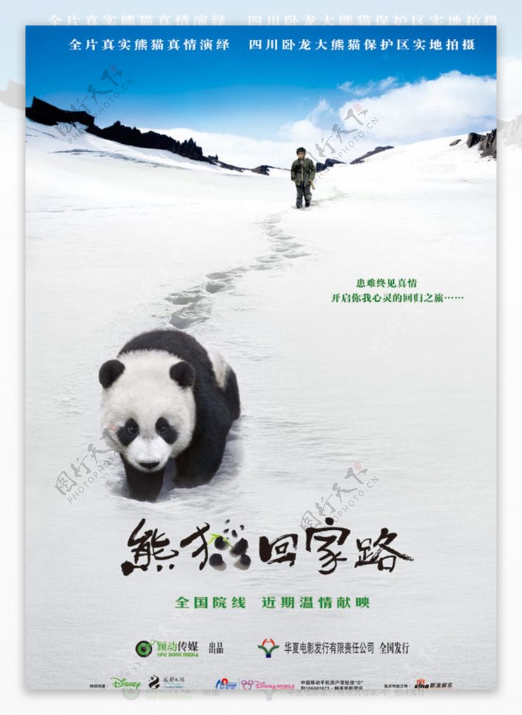 熊猫回家路电影海报PSD素材图片