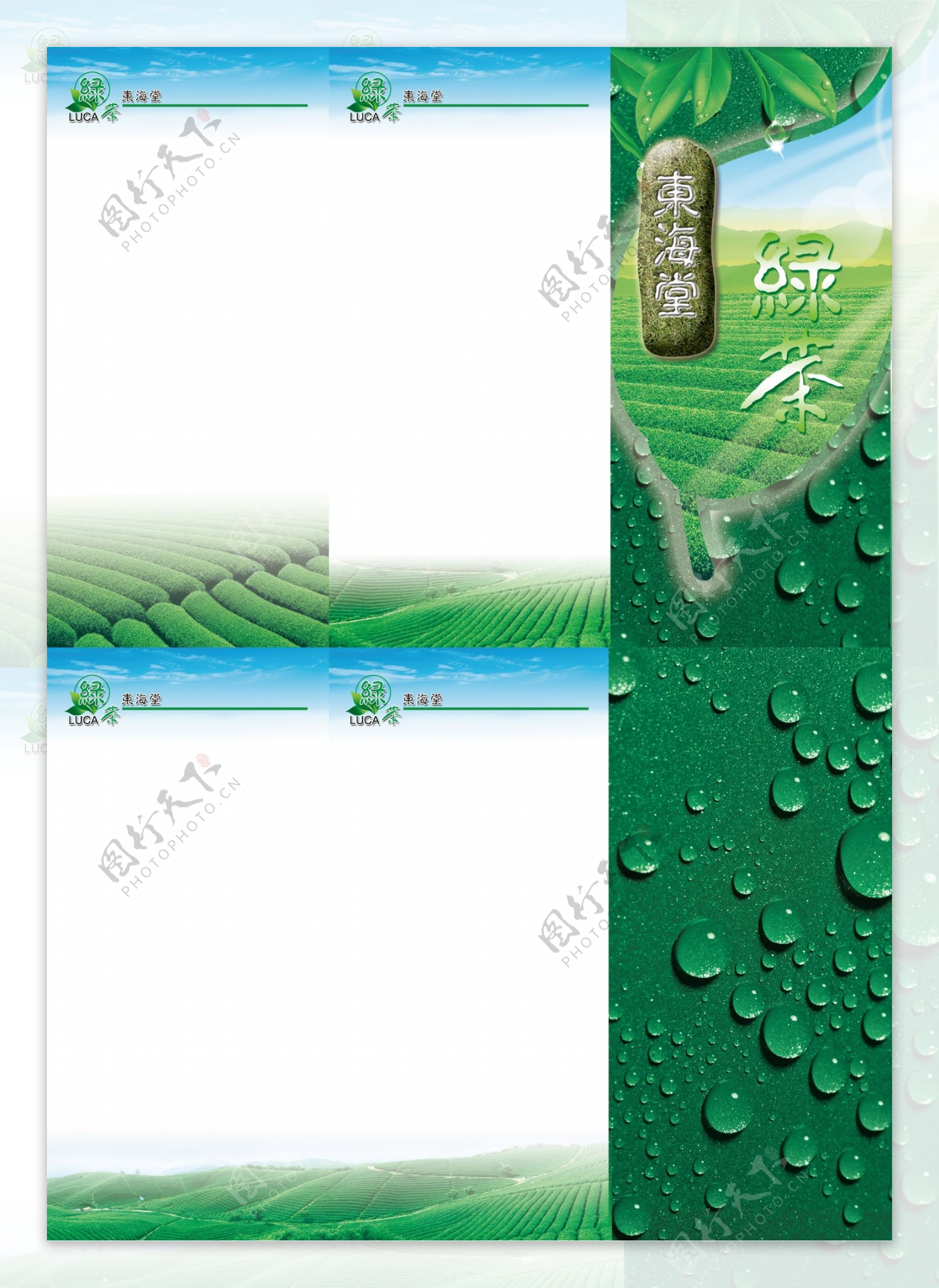 绿茶三折页模板图片