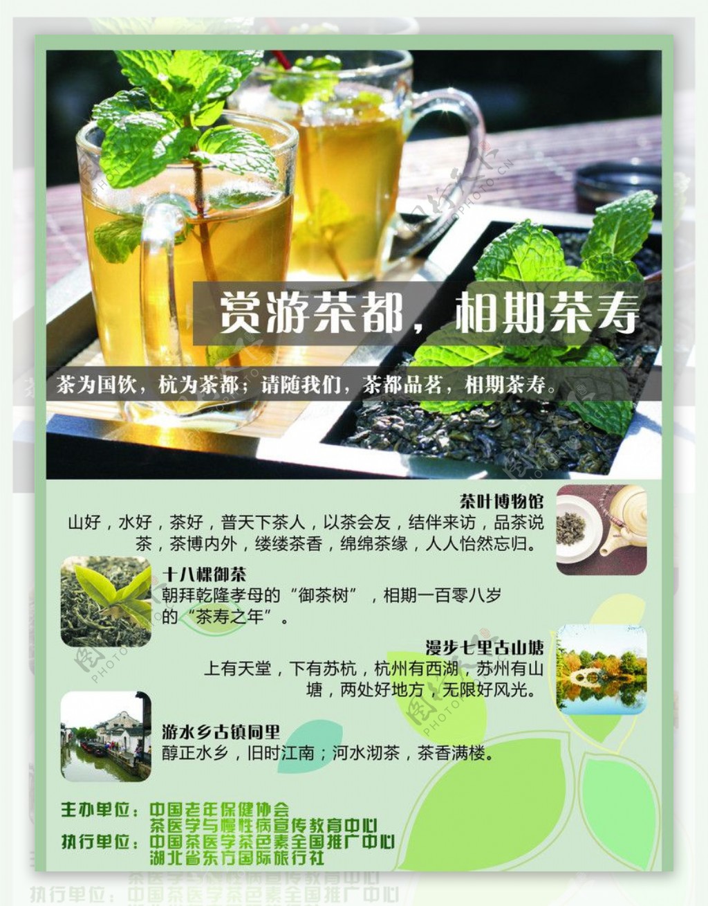 茶叶宣传单图片