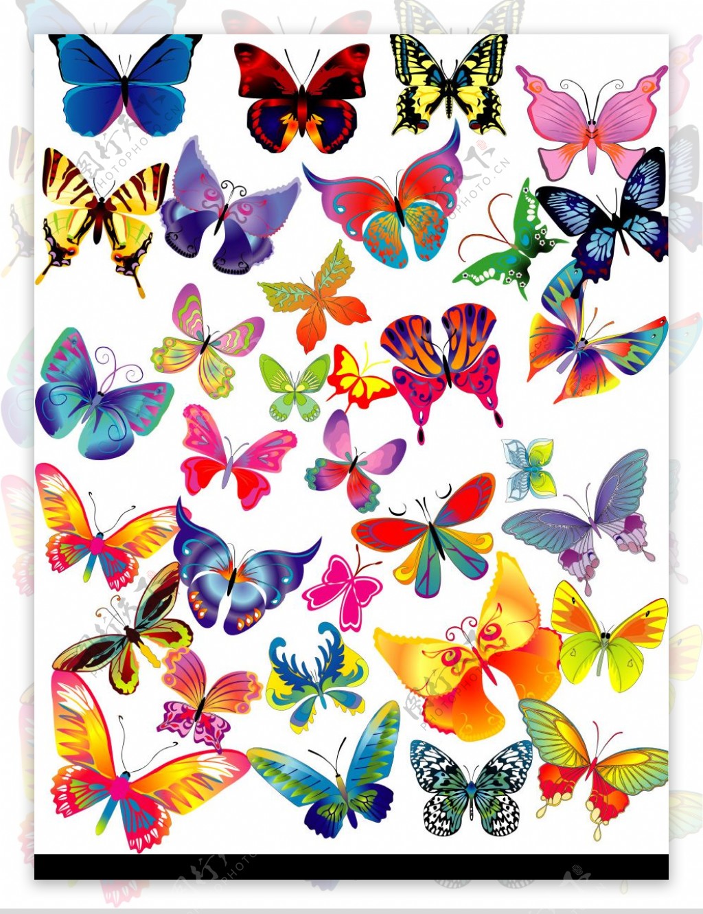 多款漂亮蝴蝶图片