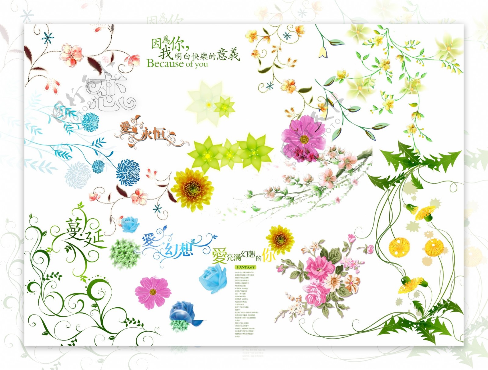 最全的花朵线条字体集合图片