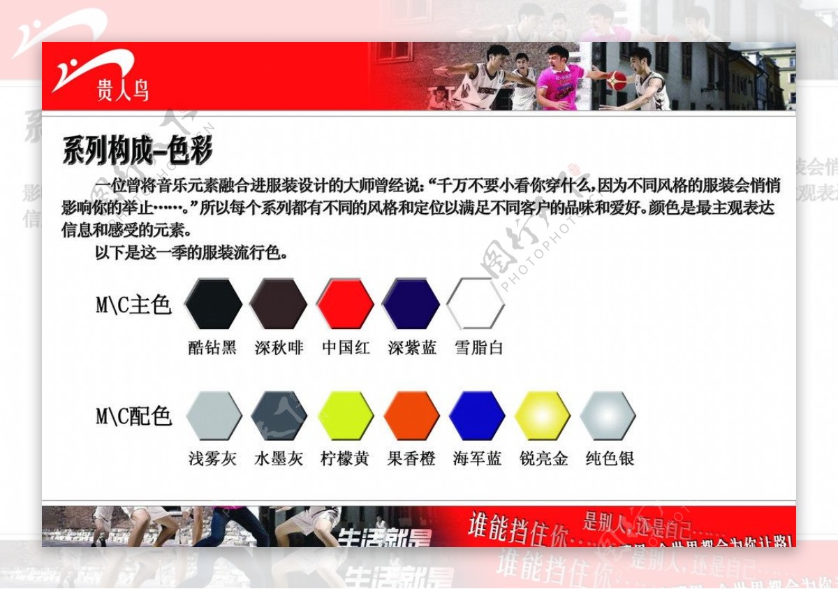 贵人鸟设计方案构成图片