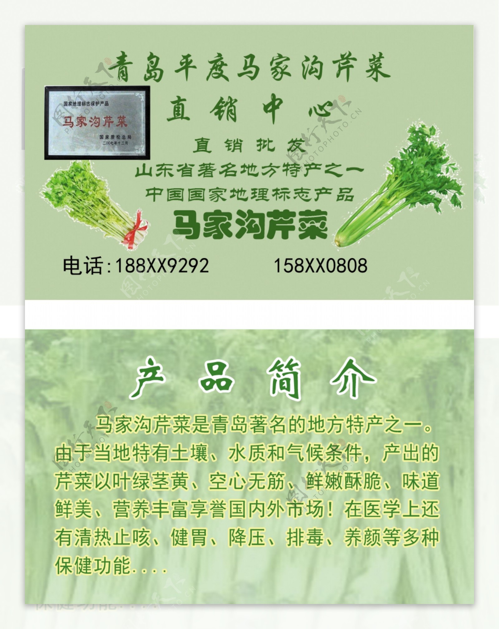 芹菜名片图片