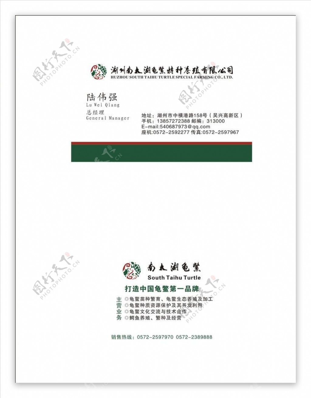 南太湖龟鳖名片图片