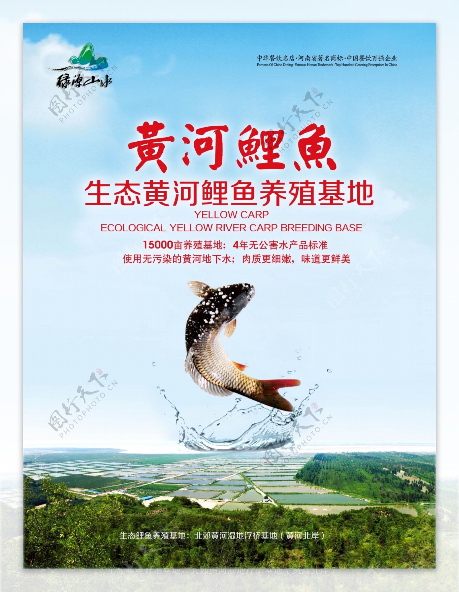 生态黄河大鲤鱼展板图片