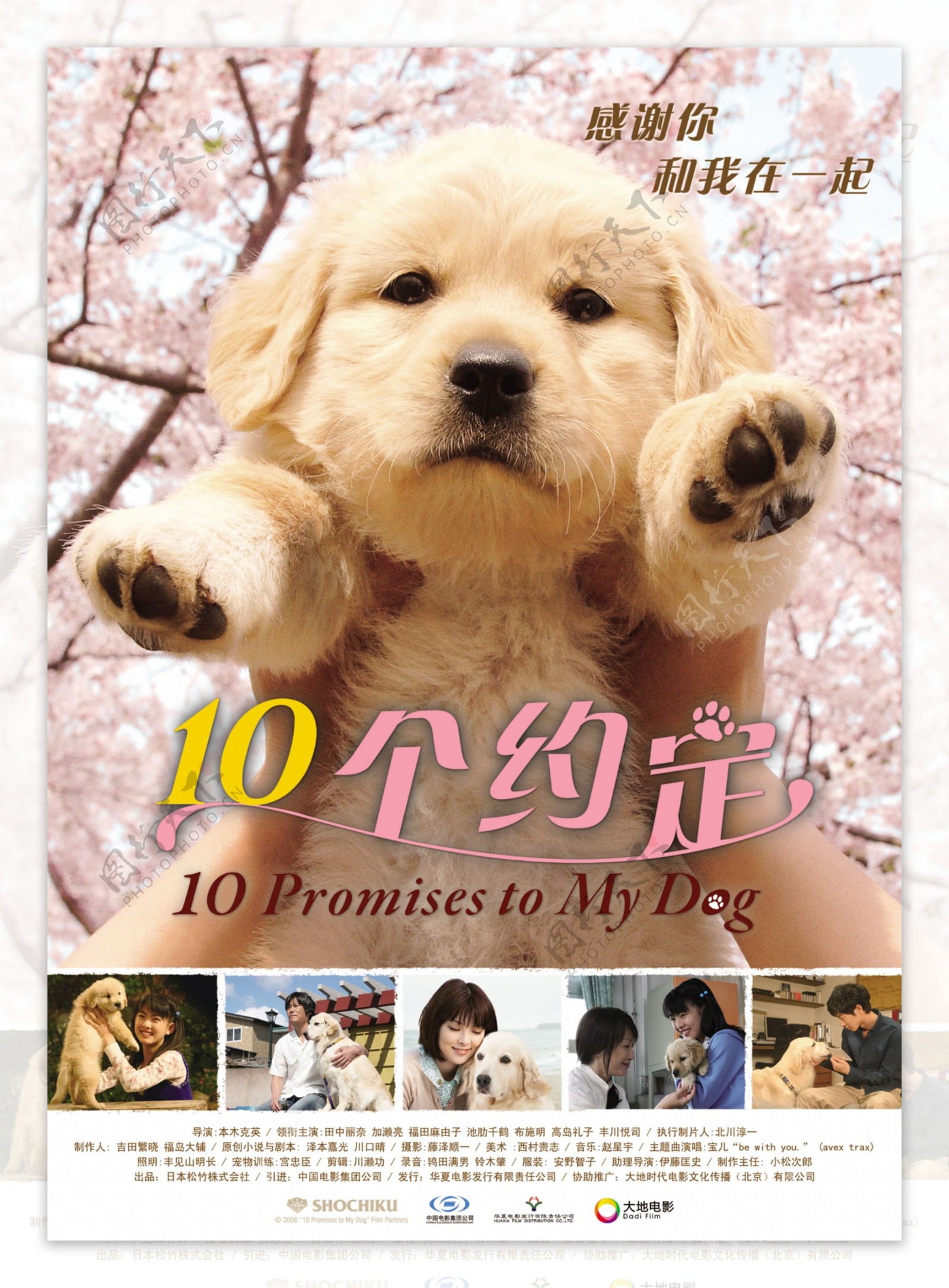 日本电影10个约定中国公映海报psd图片