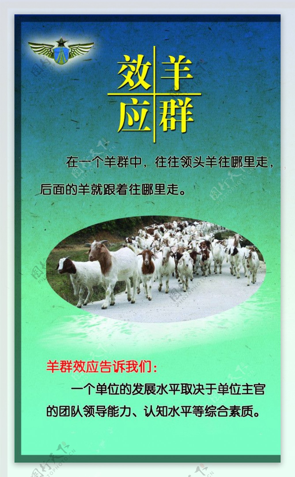 羊群效应海报图片