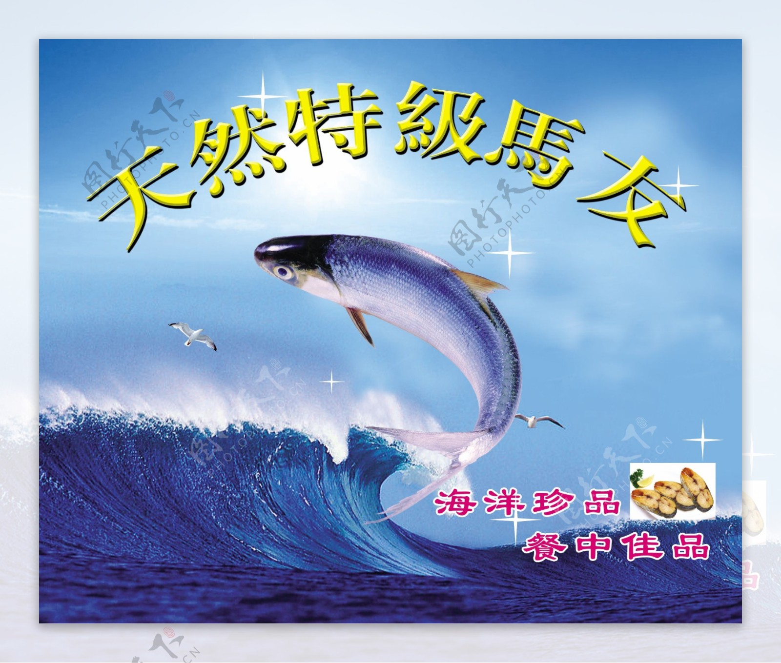 马友鱼海报设计波涛汹涌海浪冷色调海鲜豪放激情翻跃马友鱼鱼图片