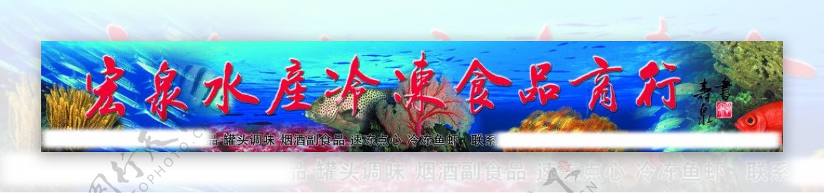 海底世界图片