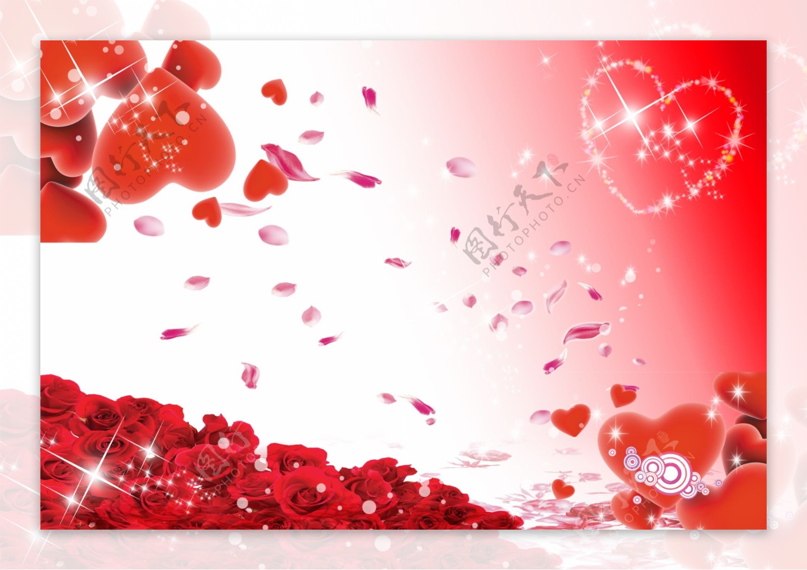 6种红色玫瑰的最美展示形式，每一种都是爱的颜色！