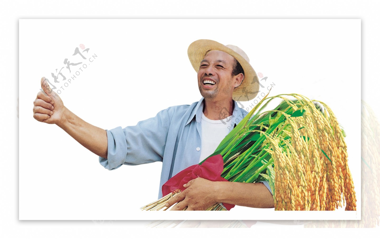 農民伯伯豐收割水稻圖片素材-JPG圖片尺寸6720 × 4480px-高清圖案501428900-zh.lovepik.com