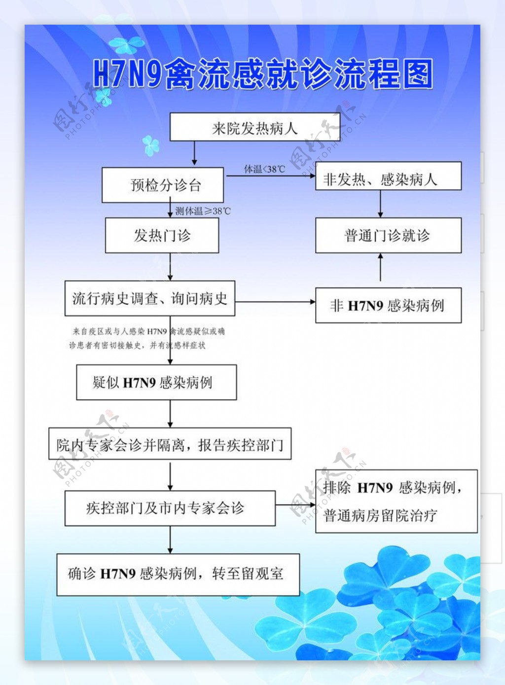 H7N9禽流感就诊流图片