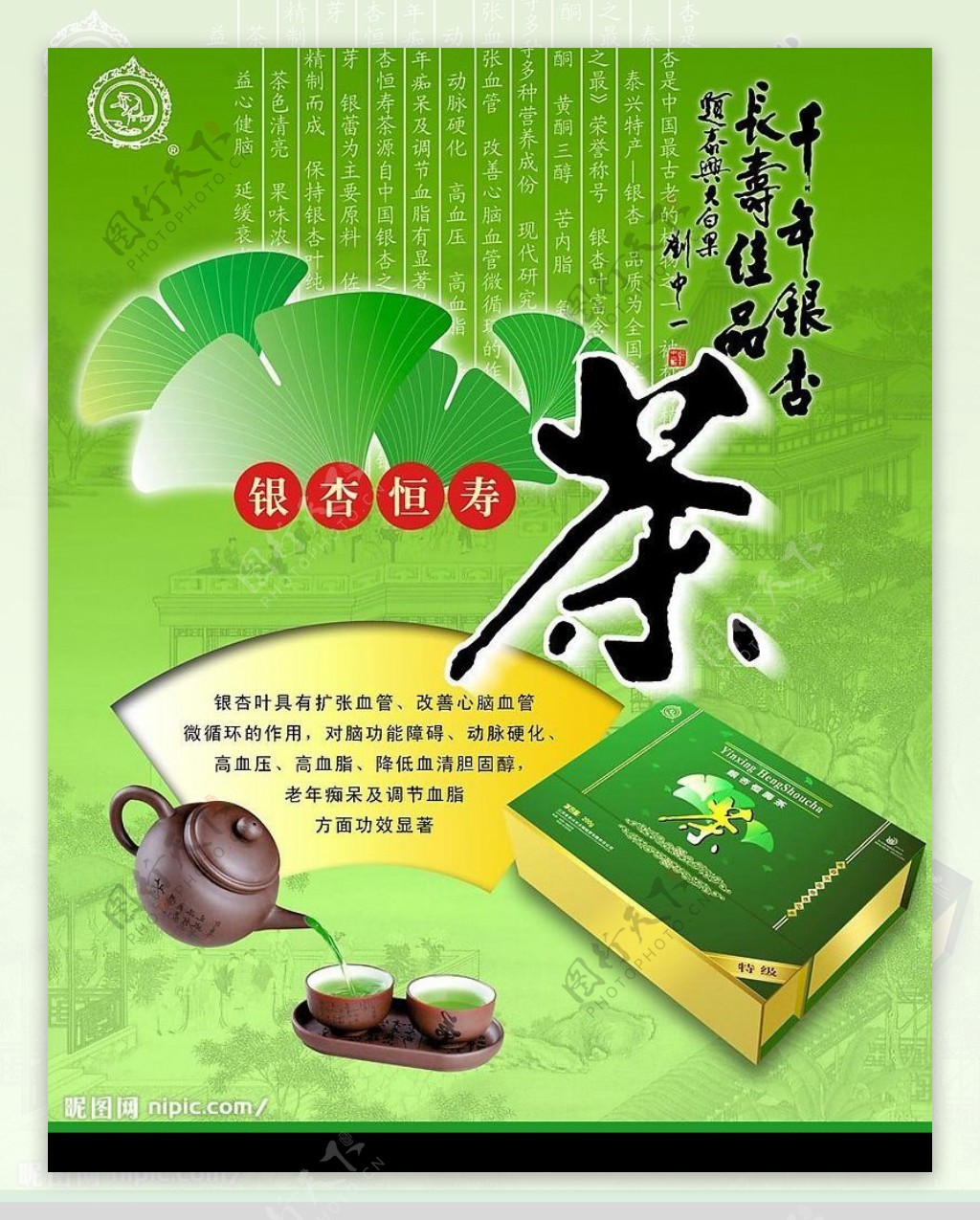 银杏恒寿茶广告图片