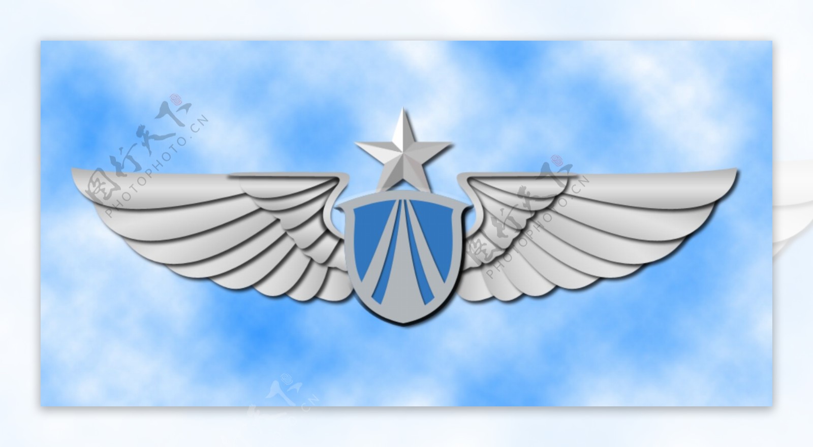 空军胸标图片