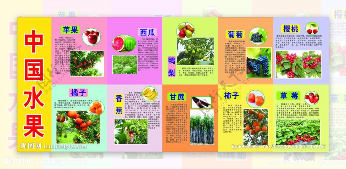 中国各种水果图片