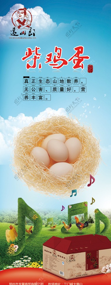 柴鸡蛋x架图片