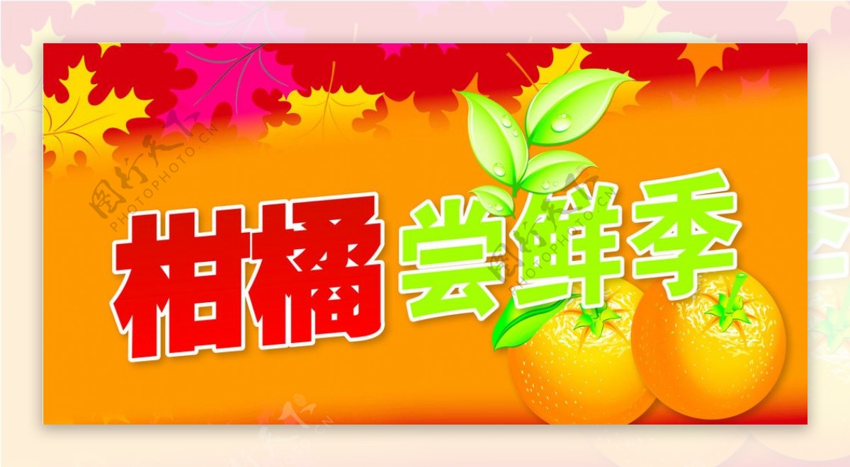 柑橘尝鲜季吊旗图片