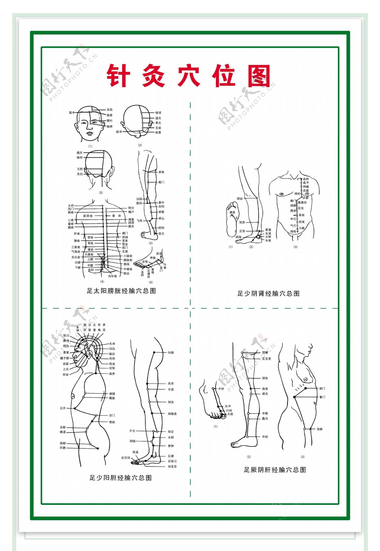 针灸穴位图图片