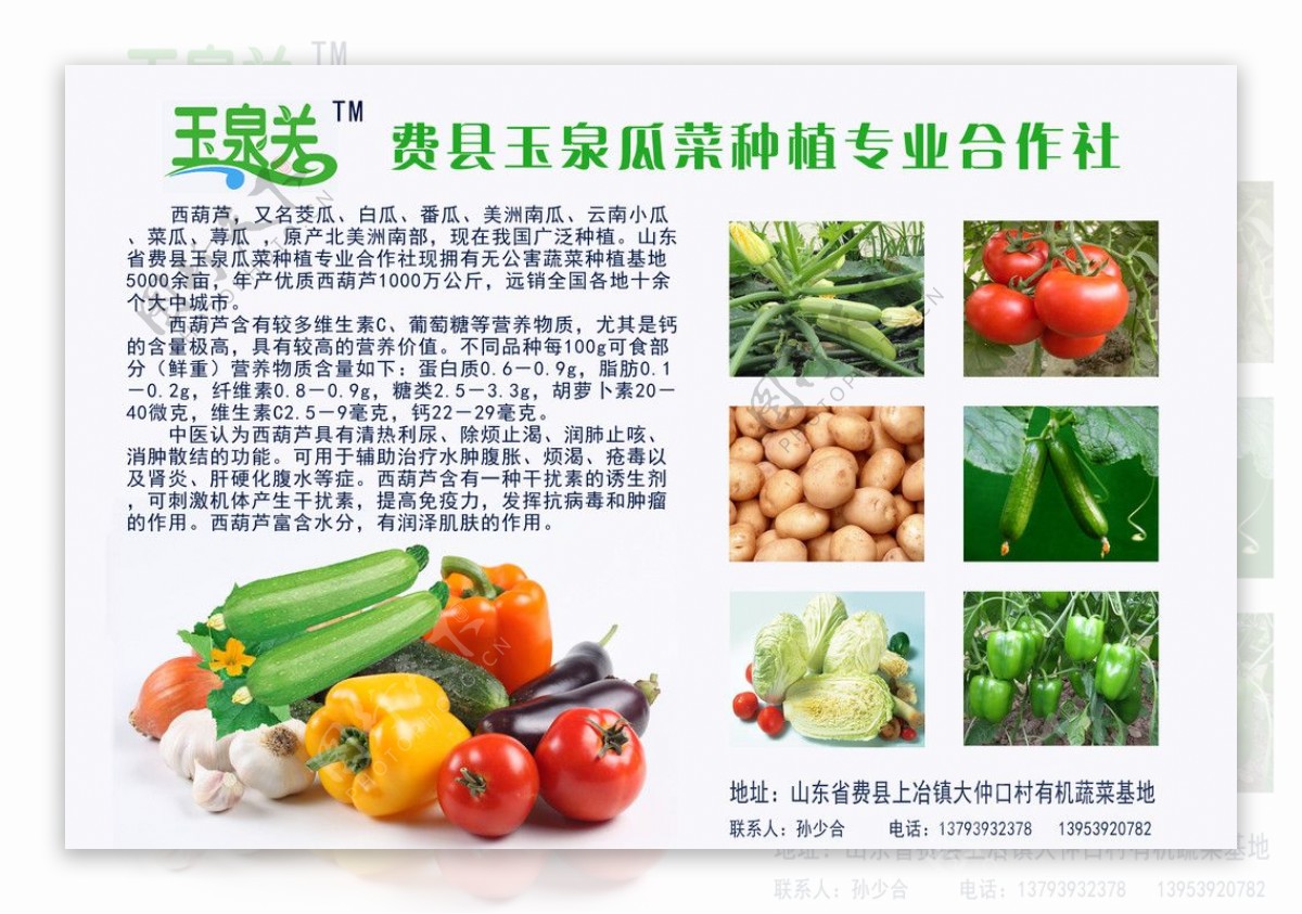 蔬菜产品宣传彩页图片