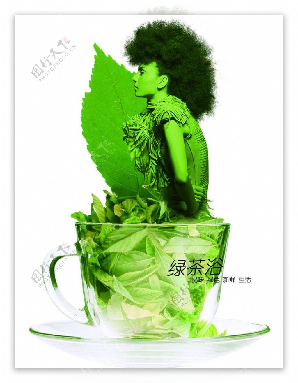 绿茶浴图片